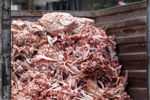 Residuos de grasas animales en un contenedor